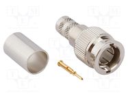 Connector: Mini BNC; plug; male; straight; 75Ω; soldering,crimped AMPHENOL RF