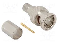 Connector: BNC; plug; male; straight; 75Ω; crimped; for cable; PTFE AMPHENOL RF