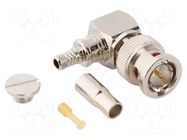 Connector: BNC; plug; male; angled 90°; 75Ω; crimped; for cable AMPHENOL RF
