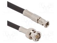 Cable; BNC HD male,BNC male; straight; 0.914m; 75Ω AMPHENOL RF