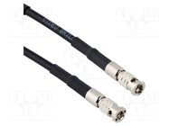 Cable; BNC HD male,both sides; straight; 0.5m; 75Ω AMPHENOL RF