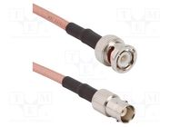 Cable; BNC male,BNC female; straight; 1m; 50Ω AMPHENOL RF