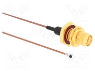 Cable; AMC female,RP-SMA male; angled,straight; 0.1m; 50Ω AMPHENOL RF