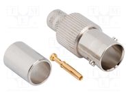 Connector: BNC; plug; female; straight; 75Ω; soldering,crimped AMPHENOL RF