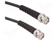 Cable; BNC male,both sides; straight; 30.48m; 50Ω AMPHENOL RF