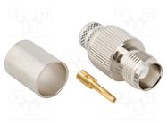 Connector: TNC; plug; female; straight; 50Ω; crimped; for cable AMPHENOL RF