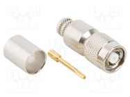 Connector: RP-TNC; plug; reverse,female; straight; 50Ω; crimped AMPHENOL RF