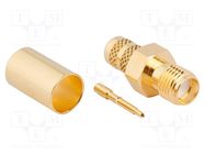 Connector: RP-SMA; plug; male,reverse; straight; 50Ω; for cable AMPHENOL RF