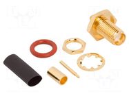 Connector: RP-SMA; socket; male,reverse; straight; 50Ω; PTFE; brass AMPHENOL RF