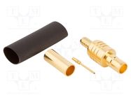 Connector: Mini SMB; plug; male; straight; 75Ω; soldering,crimped AMPHENOL RF