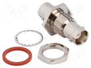 Adapter; BNC female,both sides; Insulation: PTFE; 50Ω; brass; IP67 AMPHENOL RF