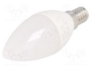 LED lamp; neutral white; E14; 230VAC; 5W; 180°; 4000K; 3pcs. GTV Poland