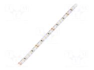 LED tape; white neutral; LED/m: 196; 5mm; IP20; 120°; 9.1W/m; 24VDC KLUŚ