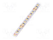 LED tape; white warm; LED/m: 140; 8mm; IP20; 120°; 9.6W/m; CRImin: 95 KLUŚ