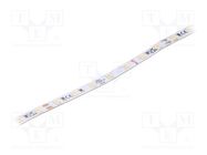 LED tape; white neutral; 24V; LED/m: 70; 8mm; IP20; 120°; 4.8W/m KLUŚ