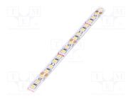 LED tape; white neutral; LED/m: 140; 8mm; IP20; 120°; 9.6W/m; 24VDC KLUŚ