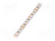 LED tape; white warm; LED/m: 180; 10mm; IP20; 120°; 4.8W/m; 24VDC KLUŚ