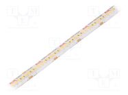 LED tape; white warm; LED/m: 240; 10mm; IP65; 120°; 4.8W/m; Thk: 3mm KLUŚ