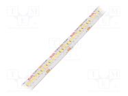 LED tape; white neutral; LED/m: 240; 10mm; IP65; 120°; 9.6W/m; 24VDC KLUŚ