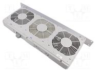 Fan: DC; fan tray; 24VDC; 482x44x208mm; 300m3/h; 51dBA; ball; IP30 Alfa Electric