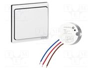 Switch; for wall mounting; 230VAC; 4.3A; 80m; 1000W VIRONE