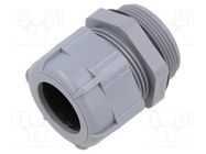 Cable gland; PG29; IP68; polyamide; dark grey BM GROUP