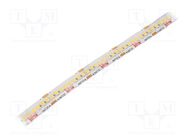 LED tape; white neutral; LED/m: 240; 10mm; IP65; 120°; 4.8W/m; 24VDC KLUŚ