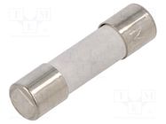 Fuse: fuse; medium time-lag; 16A; 250VAC; ceramic,cylindrical ESKA