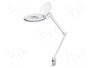 Desk magnifier; with backlight; 3dpt; Ø127mm; Illumination: LED GOOBAY