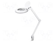 Desk magnifier; with backlight; 3dpt; Ø127mm; Illumination: LED GOOBAY