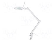 Desk magnifier; with backlight; 3dpt; Ø127mm; Illumination: LED GOOBAY