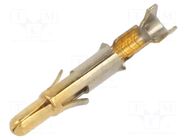 Contact; male; Universal MATE-N-LOK; brass; gold-plated; bulk TE Connectivity