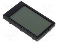 Display: LCD; alphanumeric; 4x20; white; 75x45.8mm; LED; PIN: 24 DISPLAY VISIONS