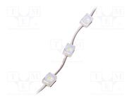 LED; white; 7000K; 300mW; 30lm; IP67; 160°; No.of diodes: 1; -25÷55°C POS