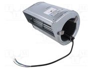 Fan: AC; blower; 230VAC; 171x180x215mm; 599.4m3/h; 55dBA; ball; IP44 EBM-PAPST