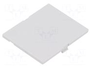 Front panel; light grey; 1597 HAMMOND