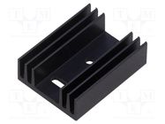 Heatsink: extruded; grilled; TO32; black; L: 37.5mm; W: 29mm SEIFERT ELECTRONIC