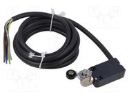 Limit switch; NO + NC; 10A; max.250VAC; max.250VDC; lead 2m; IP67 PIZZATO ELETTRICA