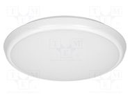 Lamp: plafond; 230VAC; 22W; 2000lm; white; 4000K; CRImin: 85; IP65 ADVITI