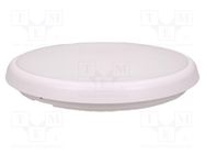 Lamp: plafond; 230VAC; 22W; 2000lm; white; 4000K; CRImin: 80; IP65 ADVITI