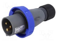 Connector: AC supply 3-phase; plug; male; 16A; 250VAC; IP&S; IP67 AMPHENOL