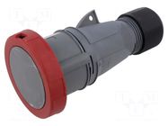 Connector: AC supply 3-phase; plug; female; 32A; 250VAC; IP&S; IP67 AMPHENOL