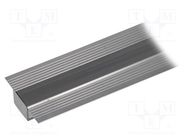 Profiles for LED modules; natural; L: 1m; KOZUS; aluminium; raw KLUŚ