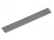 Cover; natural; 2m; VARIO30-10; aluminium; for profiles TOPMET