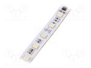 LED tape; RGBW; 5050; LED/m: 60; 12mm; white PCB; IP20; 120°; 19.2W/m IPIXEL LED