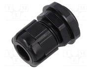 Cable gland; PG13,5; IP68; polyamide; black BM GROUP