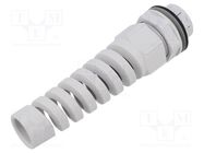 Cable gland; M25; 0; IP68; polyamide; light grey LAPP