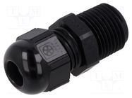 Cable gland; NPT3/8"; 1.41; IP68; polyamide; black LAPP