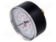 Manometer; 0÷12bar; non-aggressive liquids,inert gases; 50mm PNEUMAT