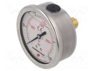 Glycerin manometer; 0÷250bar; 63mm; G 1/4",rear connection PNEUMAT